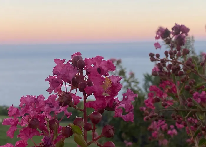 Golf ヴィラ バルチク