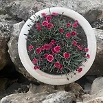 Villa Golf Balçık