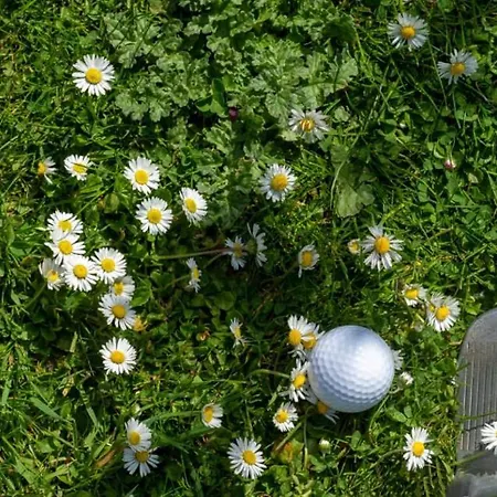 Golf *