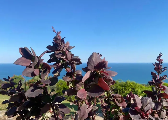 Golf Луксозна вила Балчик