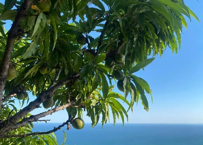 Луксозна вила Golf Балчик