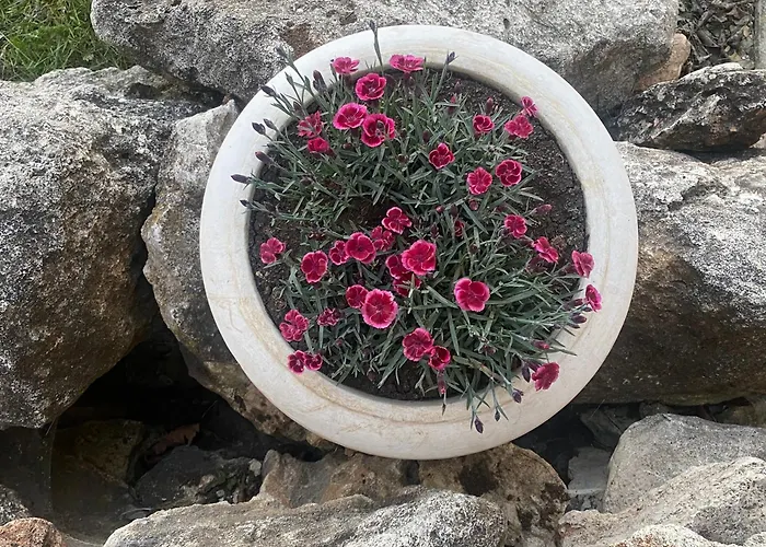 Луксозна вила Golf Балчик